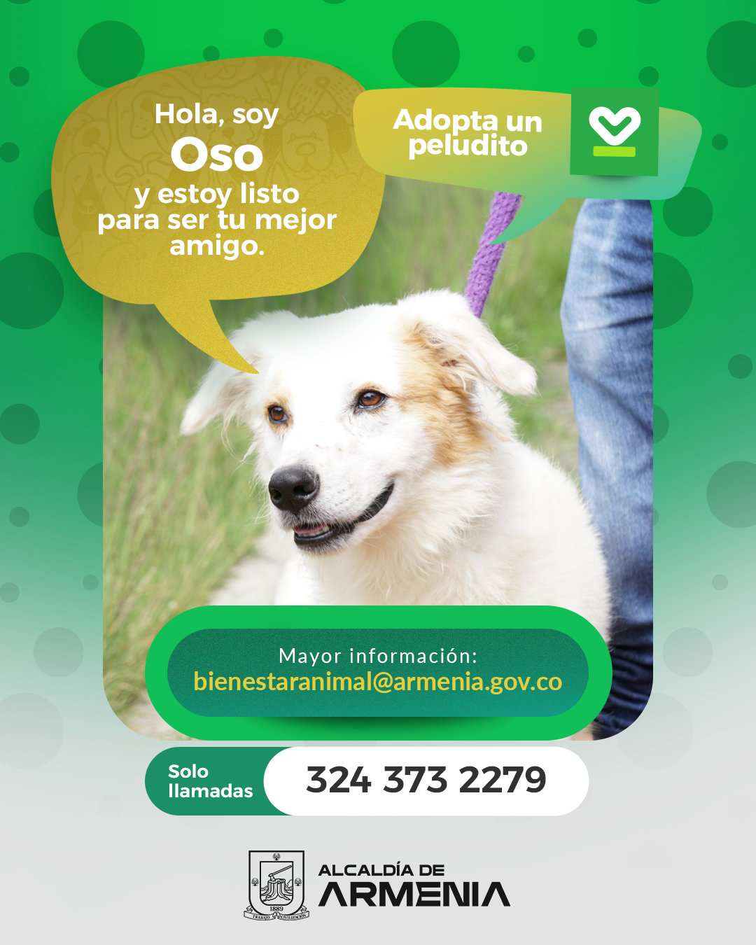 10 PT ADOPTA UN PELUDITO
