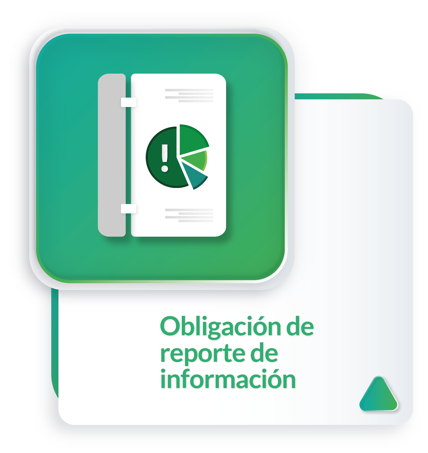 Obligaciones de reporte de información