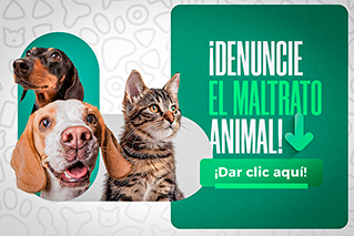 1677Y48BANNER WEB DENUNCIA ANIMAL