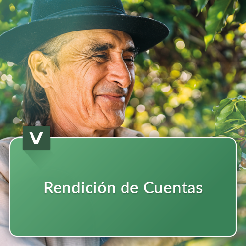 5 Rendicion de cuentas